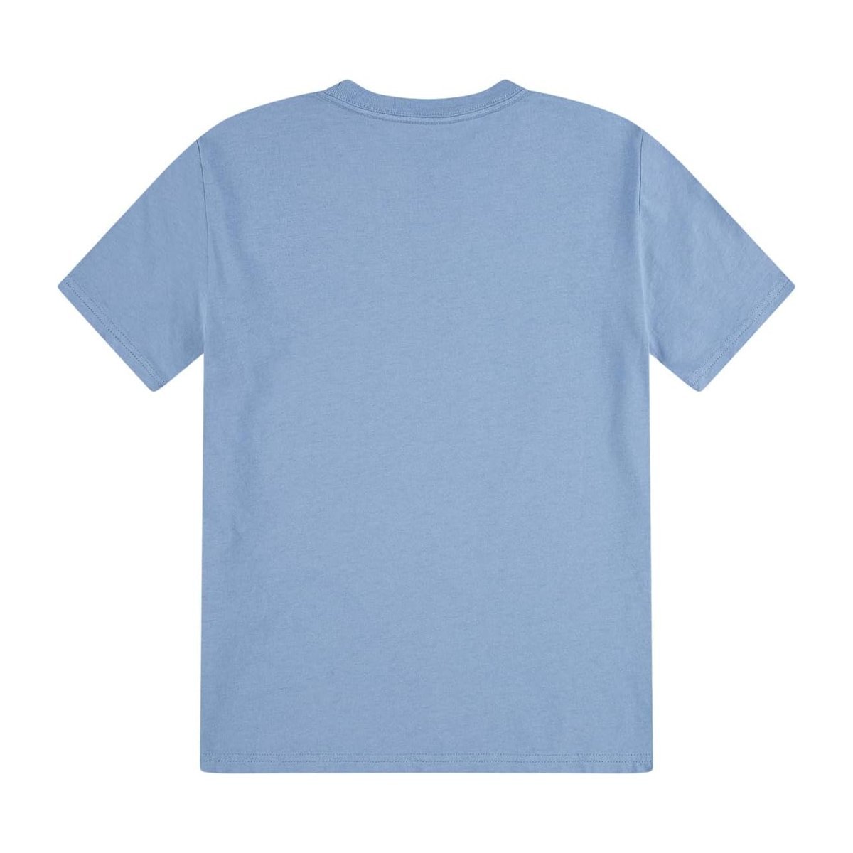 Camiseta Abercrombie & Fitch Back Trail () — Infinity